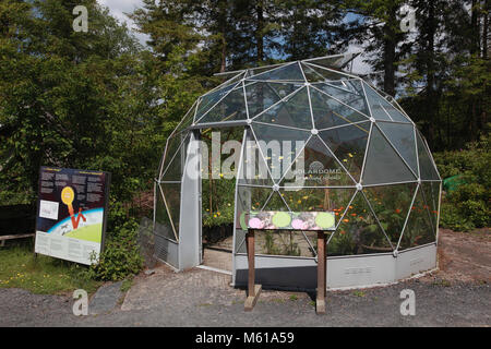 La cupola geodetica cupola solare presso il Centre for Alternative Technology, Machynlleth Foto Stock