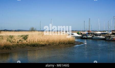 Viste di barche sul fiume Frome, Wareham Dorset, Regno Unito Foto Stock