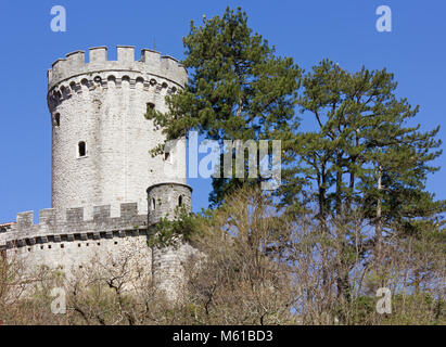 Branik Castello, Slovenia, in primavera Foto Stock