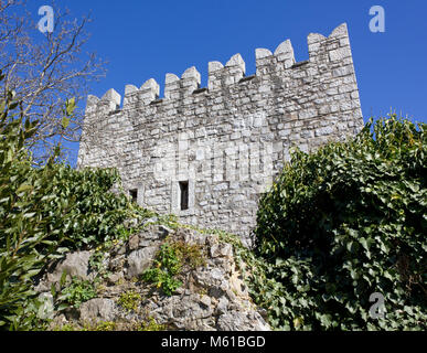 Branik castello, Slovenia, in primavera Foto Stock