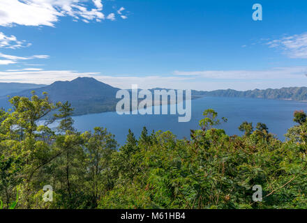 Terrazze di riso in Tegallalang, Ubud, Bali, Indonesia Foto Stock
