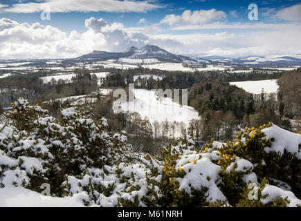 Scott è vista sotto una coltre di neve. Questo punto di vista nei confini scozzesi si affaccia sulla valle del fiume Tweed e il Eildon colline oltre. Foto Stock