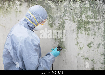 Close-up di un controllo di peste lavoratore in piedi nella parte anteriore della parete danneggiata Foto Stock