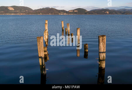 Pali in legno nel lago di Massaciuccoli da Torre del Lago Puccini, Lucca, Toscana, Italia Foto Stock