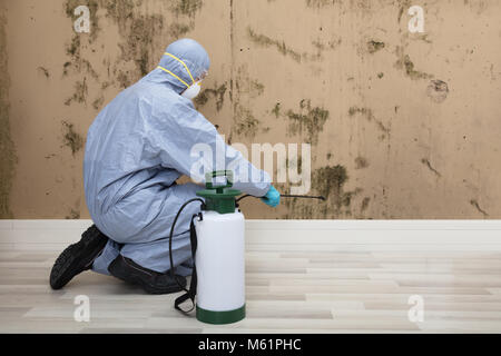 Vista posteriore di un controllo di peste lavoratore in uniforme di pesticidi di spruzzatura sulla parete con irroratrice Foto Stock