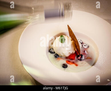 Piatto gourmet in Hotel Schiff a Hittisau, Austria. Gelato allo yogurt fatto in casa infuso con Alpcider, un sidro di mele austriaco con erbe alpine e limone Foto Stock