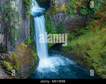 Toketee Falls, North Umpqua River, Umpqua National Forest, Douglas County, Oregon Foto Stock