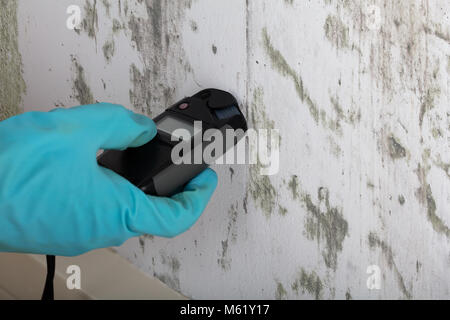 Close-up di persona le mani con guanti la misurazione umidità della parete di muffa Foto Stock