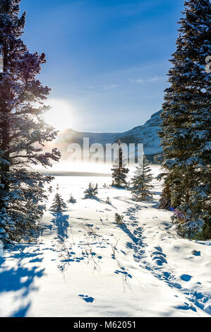 Bow Lake Foto Stock