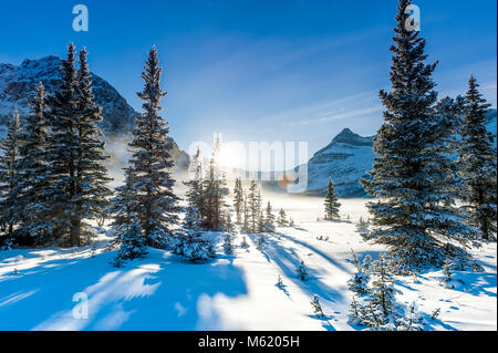 Bow Lake Foto Stock