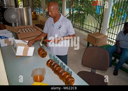 Chobolobo, liqueuer fabbricazione, imbottigliamento del famoso Blue Curacao Willemstad, Curacao, Antille olandesi, dei Caraibi Foto Stock