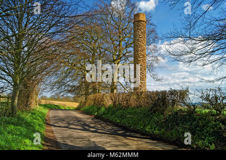 UK,Somerset,Yeovil,Barwick parco,TORRE DI PESCE Foto Stock