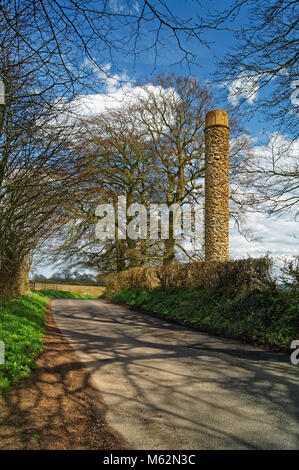 UK,Somerset,Yeovil,Barwick parco,TORRE DI PESCE Foto Stock