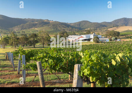 Ben Ean Wine Estate, la Hunter Valley, Nuovo Galles del Sud, Australia Foto Stock