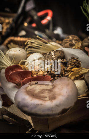 Funghi selvatici commestibili per la vendita al mercato di Borough di Londra Foto Stock