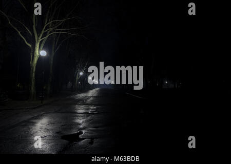 Foto di un viale di un parco di notte con lampade stradali e l'asfalto bagnato Foto Stock