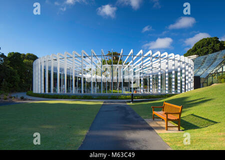 Il calice nella Royal Botanic Gardens, Sydney, Nuovo Galles del Sud, Australia Foto Stock