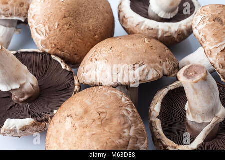 Vista da sopra il grande marrone di funghi champignon sparsi su sfondo bianco Foto Stock