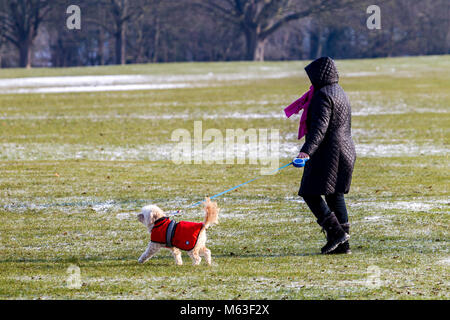 Northampton, Inghilterra. 28 Feb, 2108. Regno Unito: Meteo Temperature a -2 questa mattina con una leggera spolverata di neve per la gente a piedi i loro cani in Abington parco avvolto fino contro la terribilmente freddo brezza. Credito: Keith J Smith./Alamy Live News Foto Stock