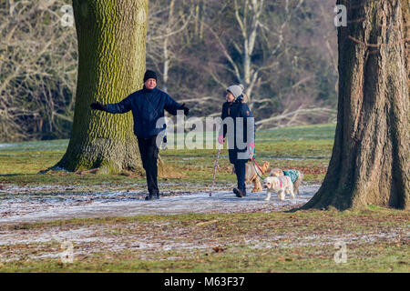 Northampton, Inghilterra. 28 Feb, 2108. Regno Unito: Meteo Temperature a -2 questa mattina con una leggera spolverata di neve per la gente a piedi i loro cani in Abington parco avvolto fino contro la terribilmente freddo brezza. Credito: Keith J Smith./Alamy Live News Foto Stock