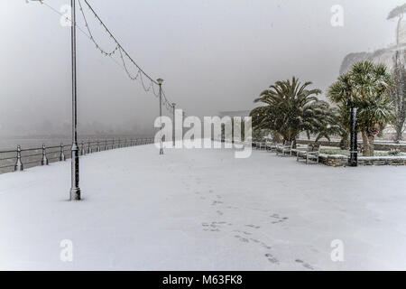 Torquay, Regno Unito. 28 Feb, 2018. Regno Unito: Meteo Bestia da est raggiunge un lungomare deserta di neve coperto di palme sulla costa sud a Torquay, Torbay, Devon, Regno Unito. Credito: JHNews / Alamy Live News Foto Stock