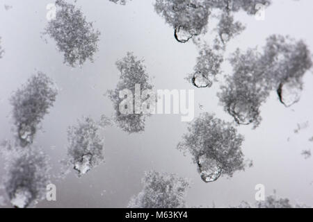 Glasgow, Scotland, Regno Unito. Il 28 febbraio 2018. Macro shot di fiocchi di neve sulla finestra Credito: Tony Clerkson/Alamy Live News Foto Stock