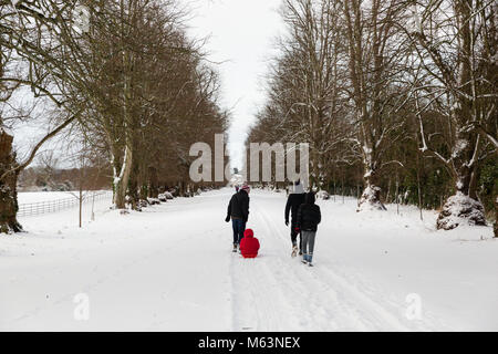 Celbridge, Kildare, Irlanda. 28 FEB 2018: Irlanda meteo. Bestia da est hits città irlandese. Neve pesante caduta in Celbridge. Famiglia A Piedi nel Parco Castletown. Foto Stock