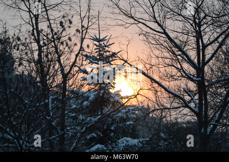 Bucarest, Romania. 28 Feb, 2018. La vita quotidiana a Bucarest dopo la neve e il freddo durante gli ultimi giorni. Credito: Alberto Grosescu/Alamy Live News Foto Stock