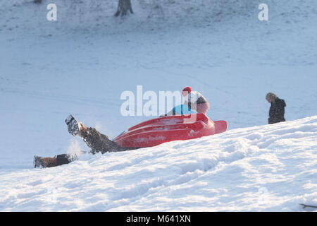 Il parco di Greenwich, Londra. 28 Feb, 2018. Regno Unito: meteo neve pesante arriva nel parco di Greenwich. Credito: Sebastian Remme/Alamy Live News Foto Stock
