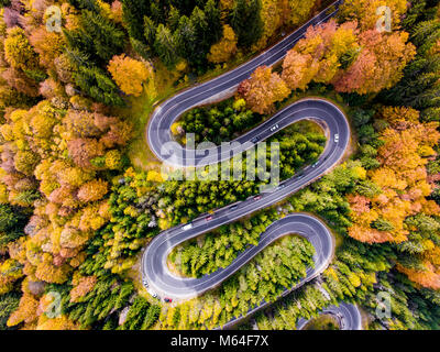 Strada tortuosa circondata da un colorfull gli alberi della foresta Foto Stock