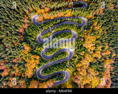 Strada tortuosa circondata da un colorfull gli alberi della foresta Foto Stock