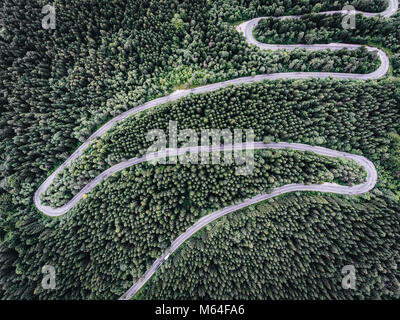 Strada tortuosa nel bosco visto da sopra Foto Stock