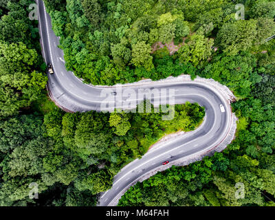 Tornante tortuosa strada attraverso la foresta Foto Stock