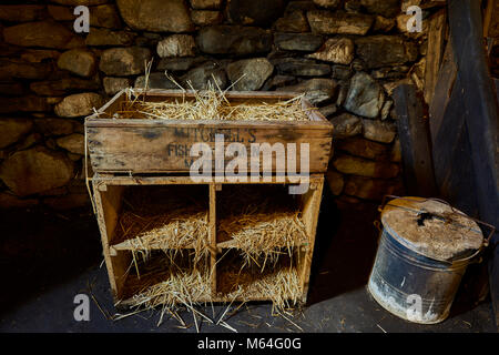 Hen coupe nella camera di deposito della Blackhouse, 24 Arnol, Bragar, isola di Lewis, Scozia. Foto Stock