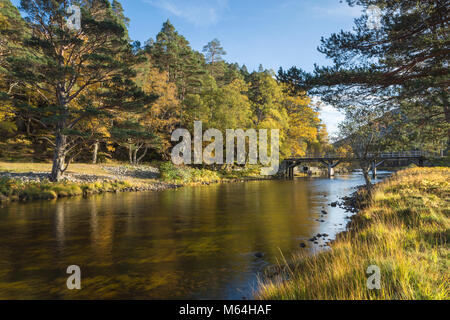 Colore di autunno dal ponte di Coulin Lodge, Torridon, Scotland, Regno Unito. L'acqua collega Loch Clair con il Loch Coulin. Foto Stock