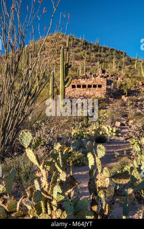 Restroom storico impianto, costruito dalla conservazione civile Corps (CCC) nel 1930, il Parco nazionale del Saguaro, Deserto Sonoran, Arizona, Stati Uniti d'America Foto Stock