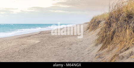 Ricoperto di erba dune di sabbia sulla spiaggia. Questa immagine è stata scattata al tramonto. Questa è una prospettiva unica di dune di sabbia sulla spiaggia. Foto Stock