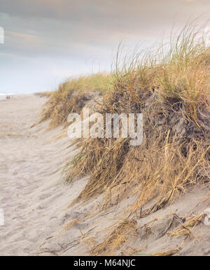 Ricoperto di erba dune di sabbia sulla spiaggia. Questa immagine è stata scattata al tramonto. Questa è una prospettiva unica di dune di sabbia sulla spiaggia. Foto Stock