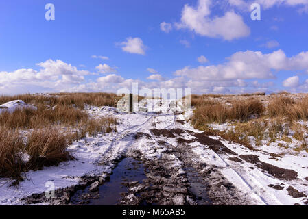 Neve giornata invernale snowscene. Winter Hill Foto Stock