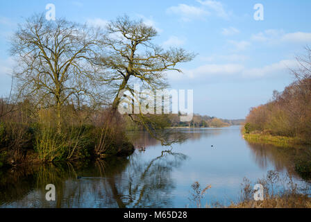 Clumber Park nel Nottinghamshire Foto Stock