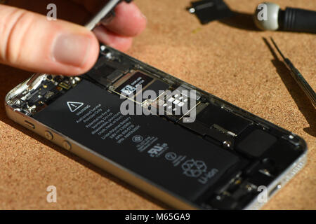 Home DIY la sostituzione di un iPhone 5s batteria che mostra telefono aperto con la nuova e la vecchia batteria e gli elementi interni del telefono. Foto Stock