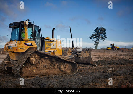 Lavoratori edili tenta di salvare un albero maturo come iniziare a lavorare su un Hillcrest Case e sito CPUK a Clitheroe, Lancashire. Foto Stock