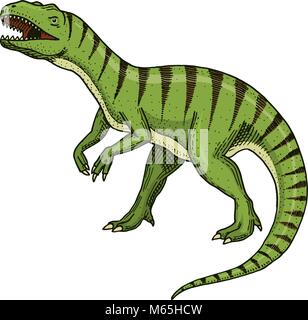 I dinosauri Tyrannosaurus rex, Afrovenator, Megalosaurus, Tarbosaurus, Struthiomimus scheletri, fossili. Rettili preistorici, animale inciso disegnati a mano vector Illustrazione Vettoriale