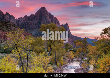 Crepuscolo, la Sentinella, fiume vergine, Parco Nazionale Zion, Utah Foto Stock