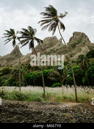 Palme vicino a secche stream circondato da una fertile valle verde e scoscese scogliere in background. Santo Antao, Cabe Verde. Foto Stock