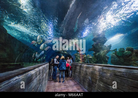 Malta National Aquarium, Malta, l'Europa. Foto Stock