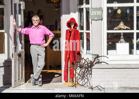 Lewisburg West Virginia, Appalachian Appalachia Allegheny Mountains, Washington Street, New Horizon Gallery, collezione d'arte, valuta, denaro, mostra Foto Stock