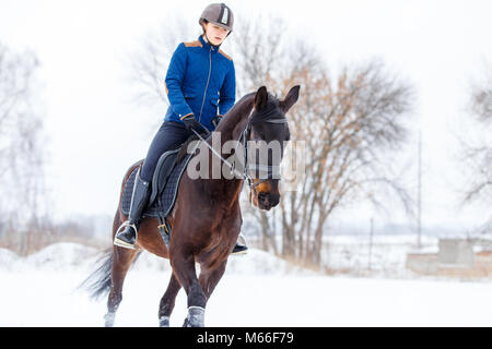 Pilota giovane ragazza sulla baia di passeggiate a cavallo sul campo nevoso in inverno. Inverno attività equestri sfondo con spazio di copia Foto Stock