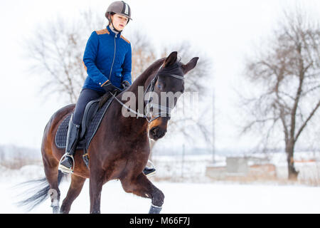 Pilota giovane ragazza sulla baia di passeggiate a cavallo sul campo nevoso in inverno. Inverno attività equestri sfondo con spazio di copia Foto Stock