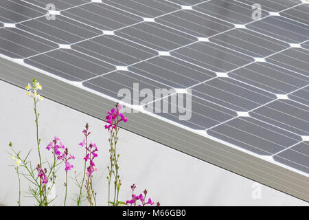 pannello del tetto ad energia solare con fiori colorati in primo piano energia verde Foto Stock